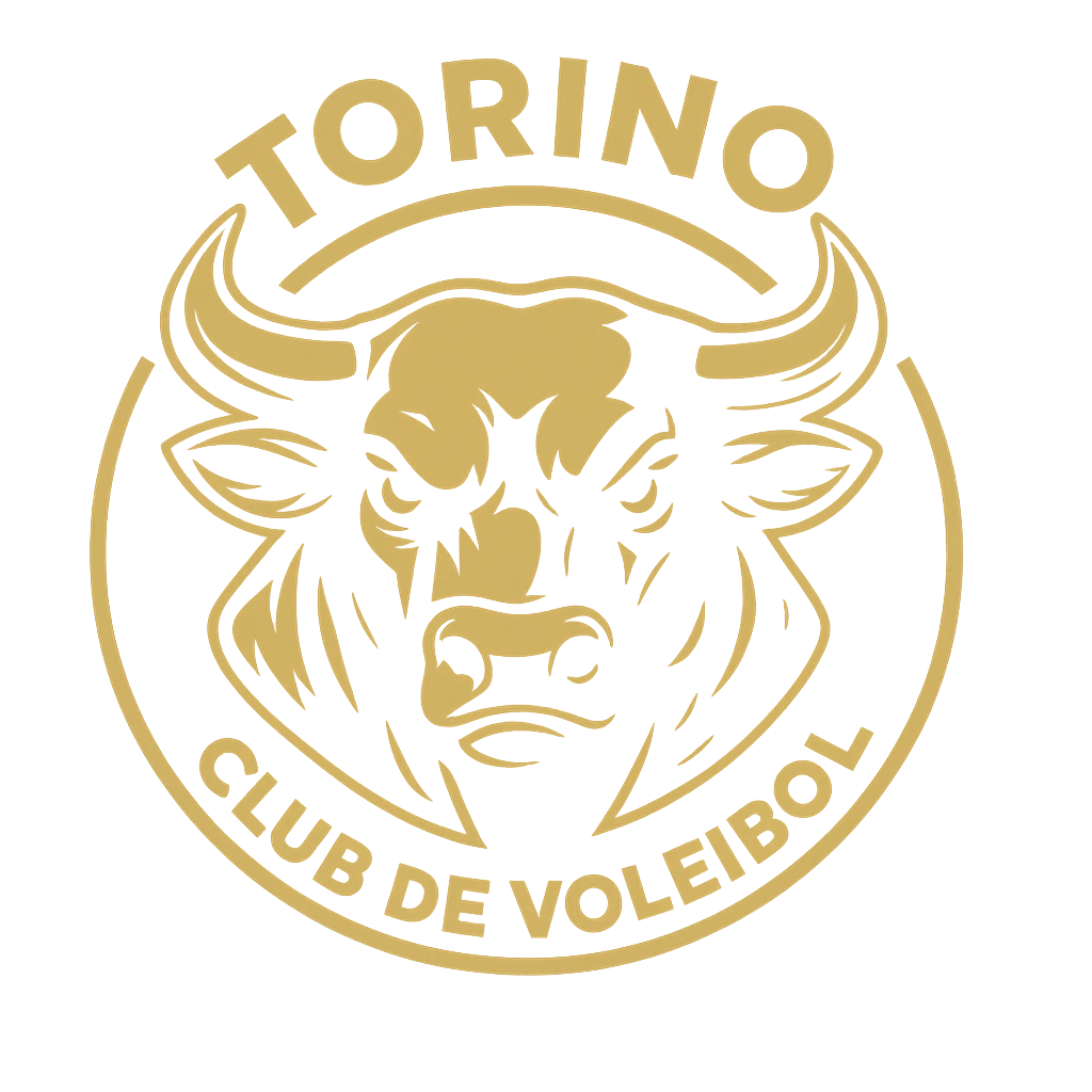 Torino Club De Voleibol